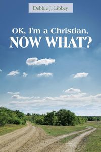 Produktbild: OK, I'm a Christian, NOW WHAT?