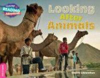 Produktbild: Cambridge Reading Adventures Looking After Animals Pink B Band
