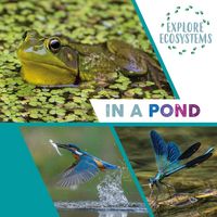 Produktbild: Explore Ecosystems: In a Pond