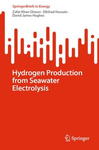 Produktbild: Hydrogen Production from Seawater Electrolysis