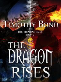 Produktbild: The Dragon Rises: An Epic Fantasy (The Triadine Saga, #2)