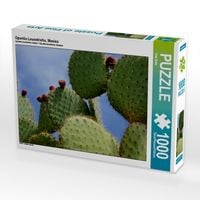 Produktbild: CALVENDO Puzzle Opuntia Leucotricha, Mexico | 1000 Teile Lege-Gr&ouml;&szlig;e 64x48cm Foto-Puzzle f&uuml;r gl&uuml;ckliche Stunden