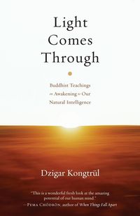 Produktbild: Light Comes Through