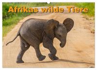 Produktbild: Afrikas wilde Tiere (Wandkalender 2027 DIN A2 quer), CALVENDO Monatskalender