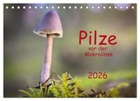 Produktbild: Pilze vor der Makrolinse 2026 (Tischkalender 2026 DIN A5 quer), CALVENDO Monatskalender