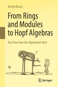 Produktbild: From Rings and Modules to Hopf Algebras