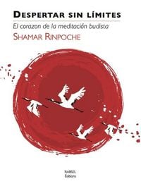 Produktbild: Despertar Sin Limites