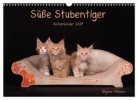 Produktbild: S&uuml;&szlig;e Stubentiger - Katzenkinder (Wandkalender 2027 DIN A3 quer), CALVENDO Monatskalender