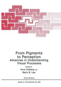 Produktbild: From Pigments to Perception