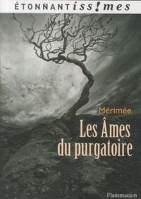 Produktbild: Les &acirc;mes du purgatoire