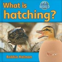 Produktbild: What Is Hatching?