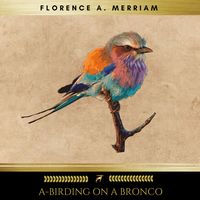 Produktbild: A-Birding on a Bronco