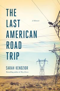Produktbild: The Last American Road Trip