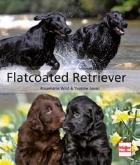 Produktbild: Flatcoated Retriever