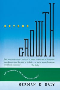 Produktbild: Beyond Growth