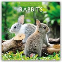 Produktbild: Rabbits &ndash; Hasen &ndash; Kaninchen 2025 &ndash; 16-Monatskalender