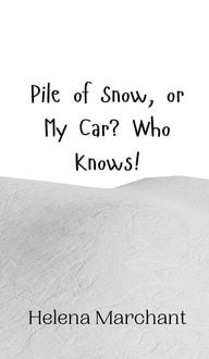 Produktbild: Pile of Snow, or My Car? Who Knows!