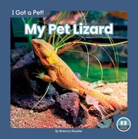 Produktbild: My Pet Lizard