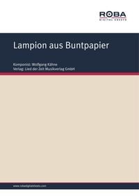 Produktbild: Lampion aus Buntpapier