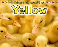 Produktbild: Yellow