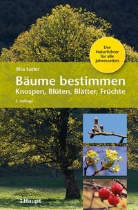 Produktbild: B&auml;ume bestimmen - Knospen, Bl&uuml;ten, Bl&auml;tter, Fr&uuml;chte