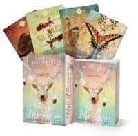 Produktbild: Ruh Hayvanlari Kehanet Kartlari