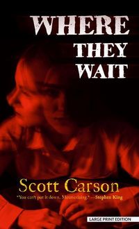 Produktbild: Where They Wait -Lp