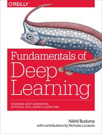 Produktbild: Fundamentals of Deep Learning