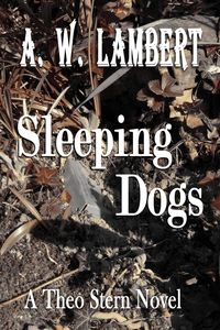Produktbild: Sleeping Dogs