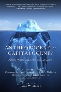 Bild vom Artikel Anthropocene or Capitalocene?: Nature, History, and the Crisis of Capitalism vom Autor Jason W. Moore