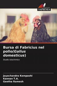Produktbild: Bursa di Fabricius nel pollo(Gallus domesticus)