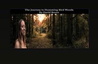 Produktbild: The Journey to Humming Bird Woods