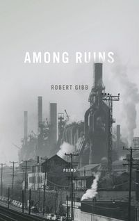 Produktbild: Among Ruins
