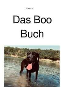 Produktbild: Das Boo Buch