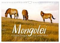 Produktbild: Mongolei - Endlose Steppe und wilde Natur. (Wandkalender 2026 DIN A4 quer), CALVENDO Monatskalender