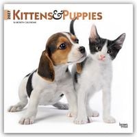 Produktbild: Kittens & Puppies &ndash; K&auml;tzchen & Welpen 2027 &ndash; 16-Monatskalender