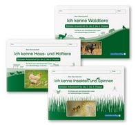 Produktbild: Ich kenne Waldtiere / Haus- und Hoftiere / Insekten und Spinnen - 3 Arbeitshefte im Set f&uuml;r die 2. bis 4. Klasse