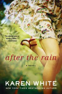 Produktbild: After the Rain