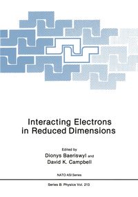 Produktbild: Interacting Electrons in Reduced Dimensions