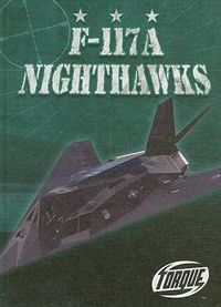 Produktbild: F-117A Nighthawks