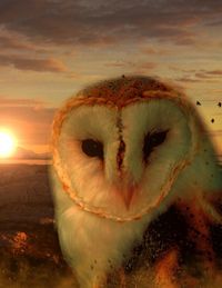 Produktbild: Fantasy Notizbuch: Eulenseele - wei&szlig;e Seiten mit Eckmotiv