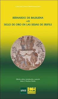 Produktbild: Siglo de Oro en las selvas de Erifile de Bernardo de Balbuena