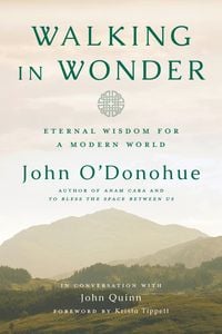 Produktbild: Walking in Wonder