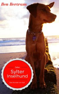 Produktbild: Das Wunder von Sylt