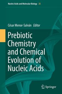 Produktbild: Prebiotic Chemistry and Chemical Evolution of Nucleic Acids