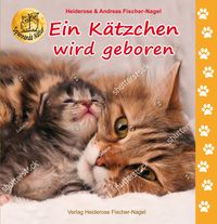 Produktbild: Ein K&auml;tzchen wird geboren