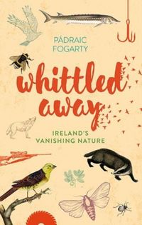 Produktbild: Whittled Away