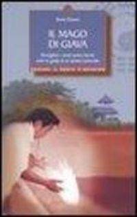 Produktbild: Il mago di Giava. Risvegliare i nostri poteri latenti sotto la guida di un taoista immortale