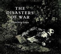 Produktbild: The Disasters of War