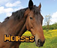 Produktbild: Horses